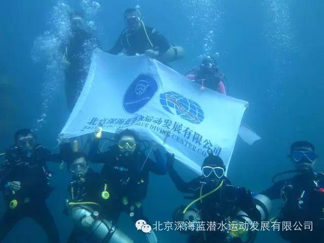 超能动物联盟